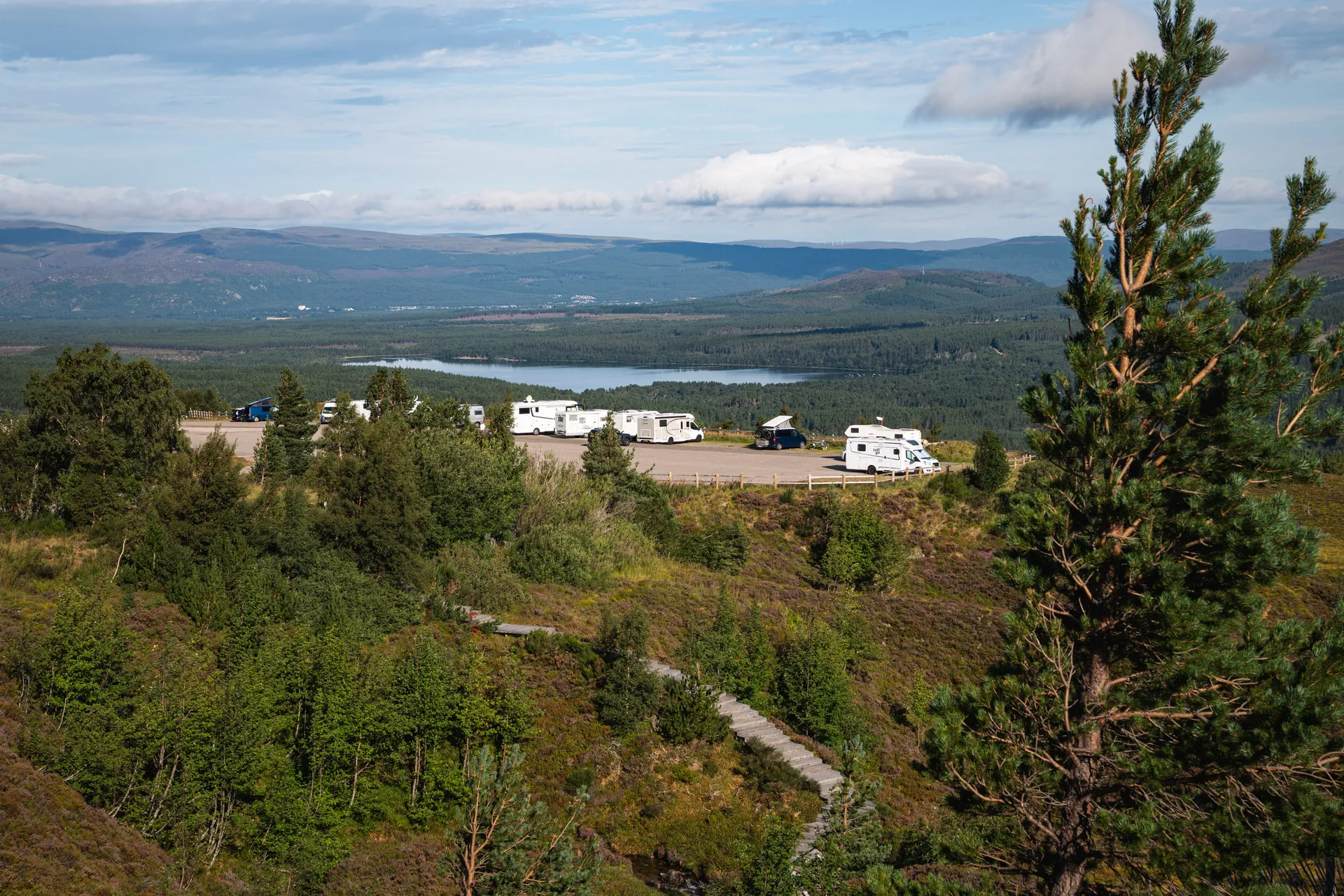 Campervans parked on the hillside above a loch, seen between pine trees.