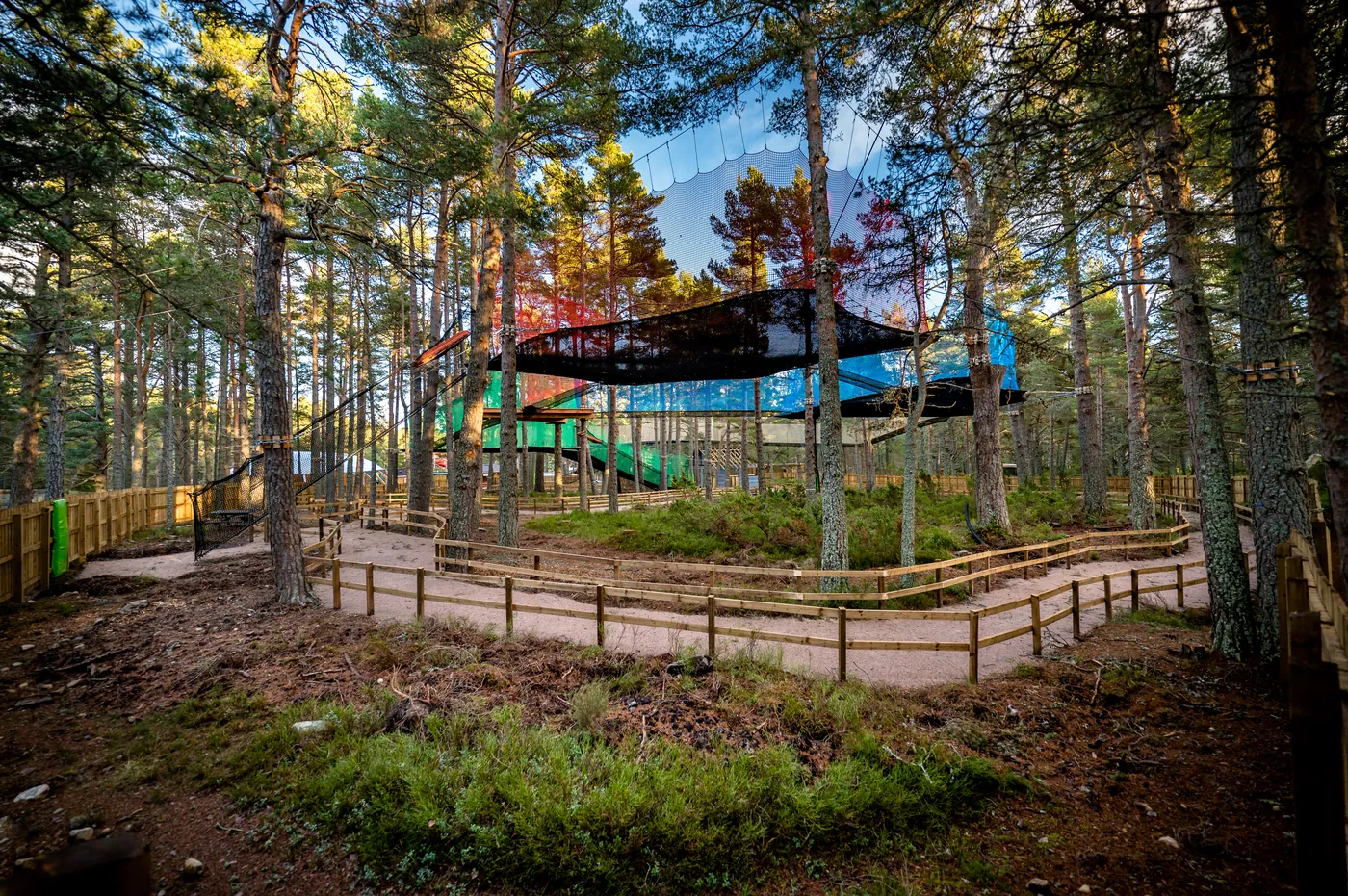 A treetop structure among tall pines, with a winding boardwalk below.