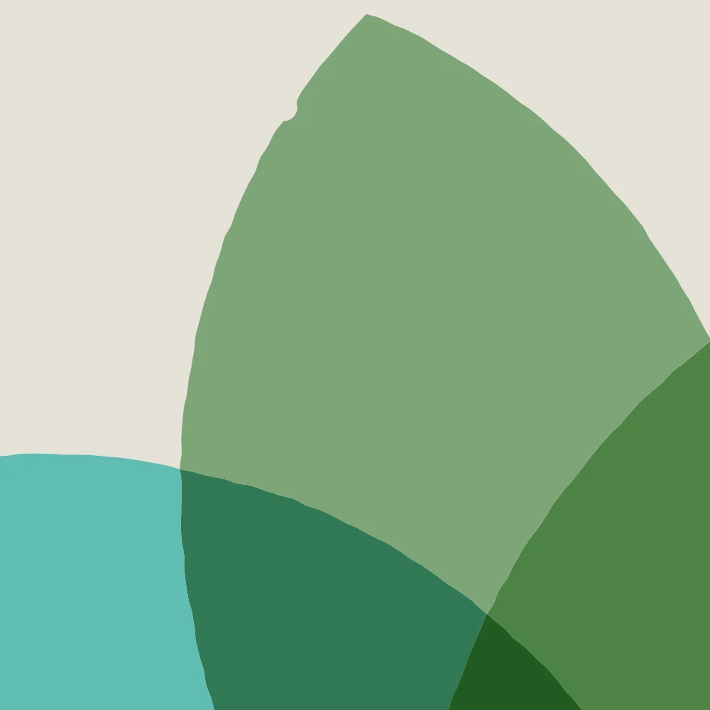 A close-up of a flower petal in sage green with a slightly wavering, hand-made edge.