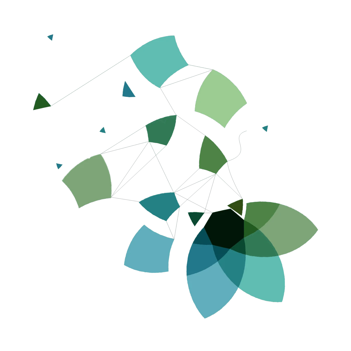 Fragments of the Pendle flower’s petals in teal and green, joined by fine lines like a network.